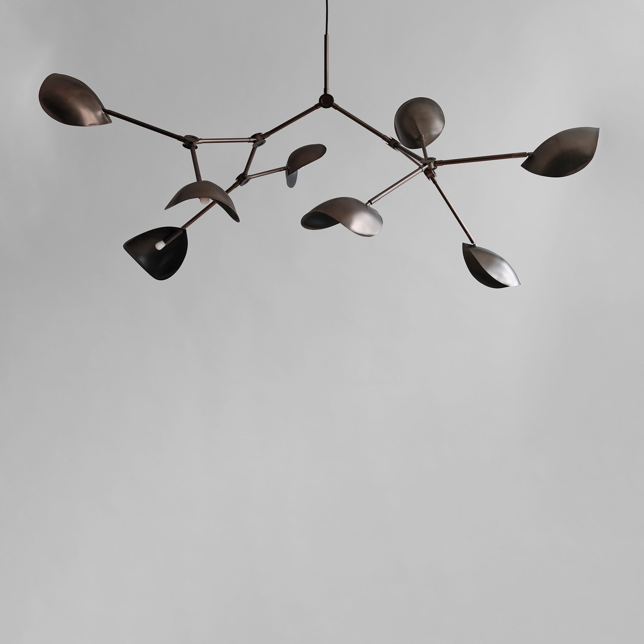 Stingray Chandelier, Grande - Bronze (5m) - Bronze 1 Stingray Chandelier, Grande - Bronze (5m) - Bronze